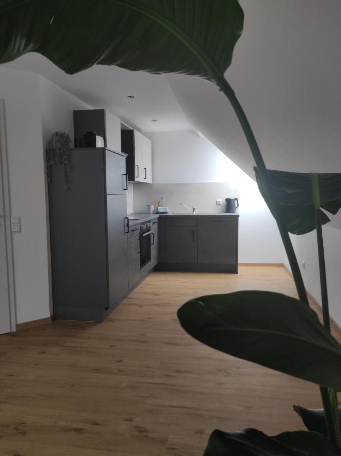 Ferienwohnung Im Distelweg Scheid  Extérieur photo
