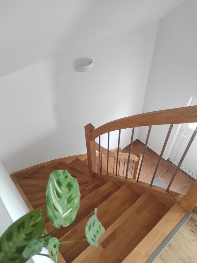 Ferienwohnung Im Distelweg Scheid  Extérieur photo